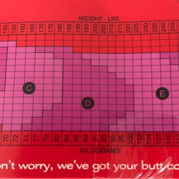 New w tags SPANX super high shaping sheers pantyhose Size D nude tummy control - Picture 6 of 7